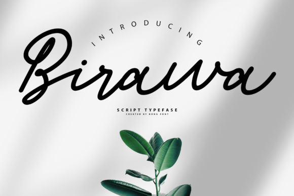Birawa: A Modern Script for Creative Projects