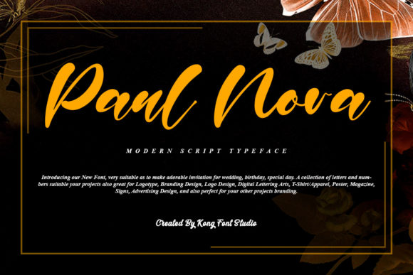 Discover Paul Nora: A Playful Script for Creative Projects