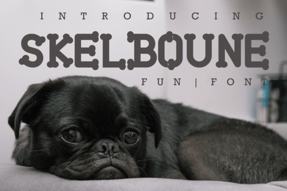 Skelboune: The Modern Serif That Doesn't Take Itself Too Seriously